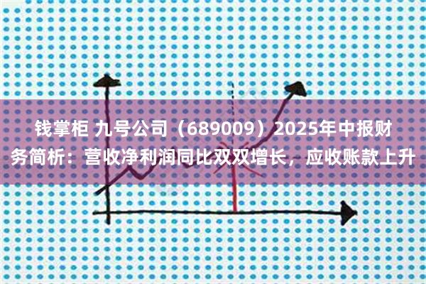 钱掌柜 九号公司（689009）2025年中报财务简析：营收净利润同比双双增长，应收账款上升